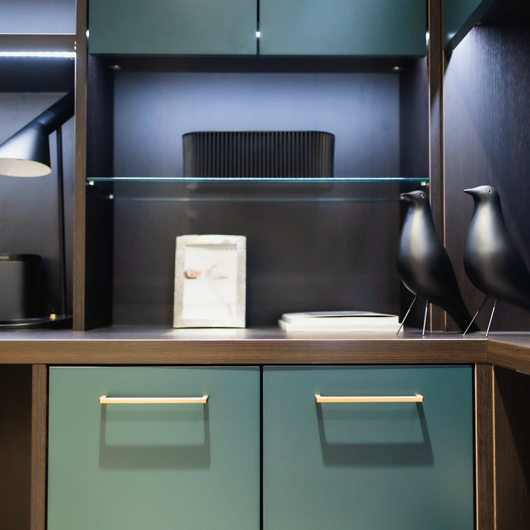 Study cupboards in deep green with glass shelving and brass handles above a worktop