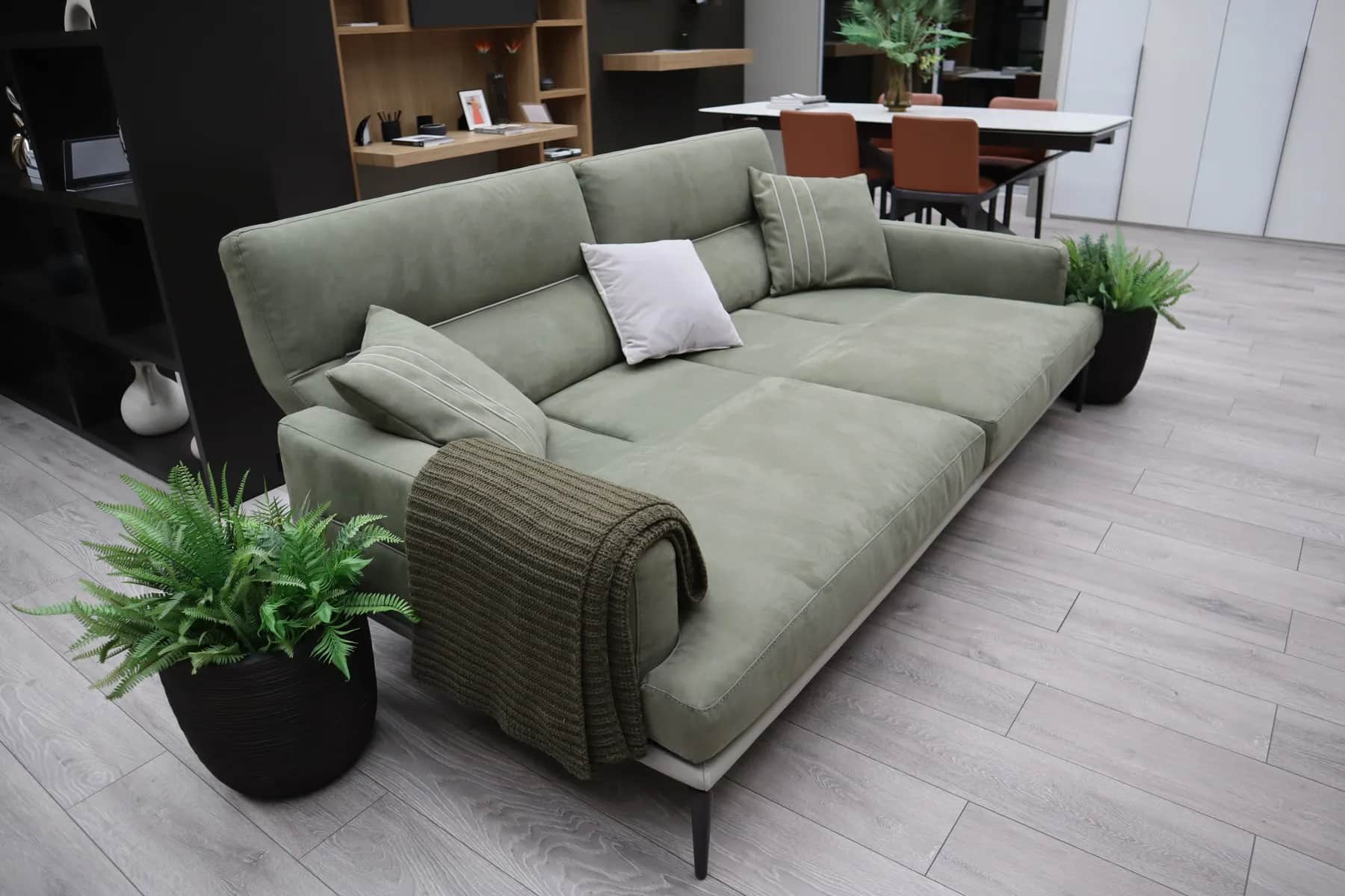 Sage green sofa with cushions and a knitted throw beside a potted fern