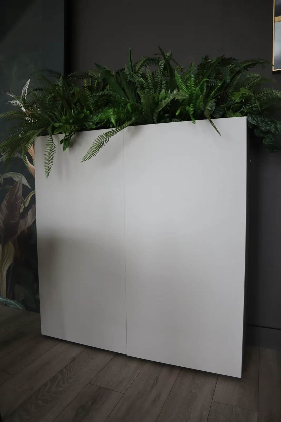 Closed white storage unit topped with a planter of ferns